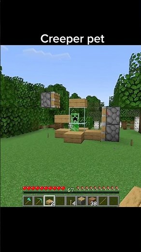 Creeper pet #minecraft #memes