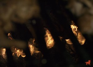 🔥 From our pit to your plate. Craving hickory-smoked BBQ without the wait? Order Jack Stack carryout online and get pitmaster perfection, ready to go. | Jack Stack Barbecue