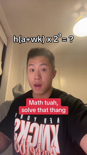 Solve Algebra Math Problems with Hawk Tuah Tutor