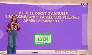 Le Maud d'emploi : Commande sur internet, peut-on l'annuler après paiement ?
