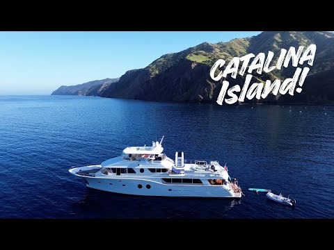 3 Days on a Yacht at Catalina Island (Night Diving + Fishing!)