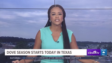 Dove hunting season begins Sept. 1 in Texas