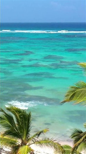 🚫🌊 Don't Book Your Vacation Until You See the Caribbean Sea 🏝️ #BeachParadise