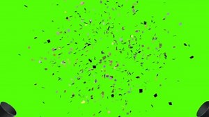 Download Loop Animation of Gold Confetti Falling on Green Screen for free