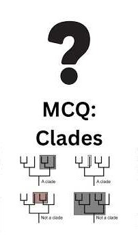 MCQ: Clade