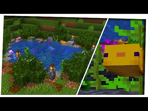 Minecraft: Building an Axolotl Sanctuary In 10 Minutes... (10 Minute challenge)