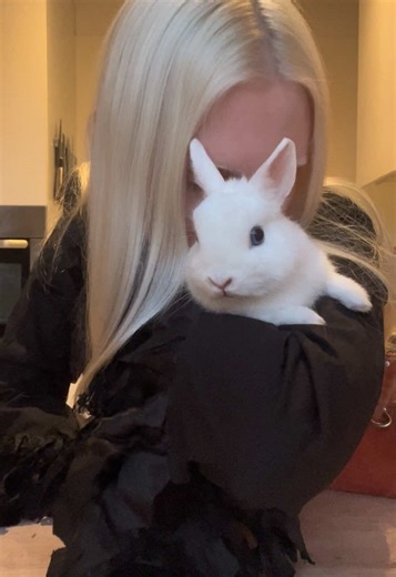 Understanding Rabbit Care During Winter Solstice