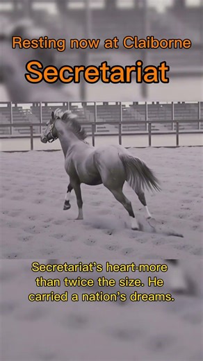 Secretariat Heart The Power That Carried a Nation #Secretariat #HorseRacing #TripleCrown