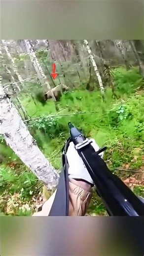 Extreme Bear Hunting 🐻 | Face-to-Face Encounter#wildlife #chasse#challenge #bear#closecall#whitebear