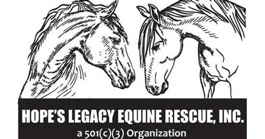 Bidding open in online auction supporting Hope's Legacy