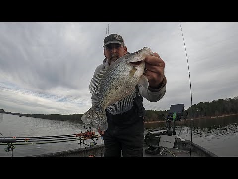 Crappie Fishing North Carolina Lake Shearon Harris
