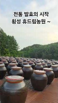 전통 발효의 시작 횡성 휴드림농원 12말 항아리 80개 장가르기 모두 마쳤습니다~ #장가르기 #된장만들기 #간장만들기 #수제된장 #집된장 #장담그기 #전통장 #발효의시쟉
