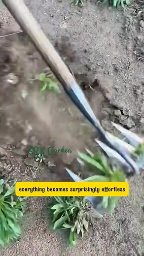 The Easiest Way to Clean Up Your Garden — Guaranteed! | Amber Lynn Sysel-Lodge