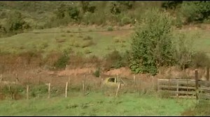 Korsikali.Corsican.File.2004.