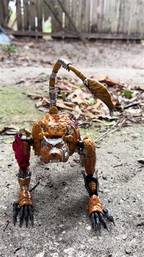 That’s a weird looking cat #cats #beastwars #transformers #figtok #actionfigures