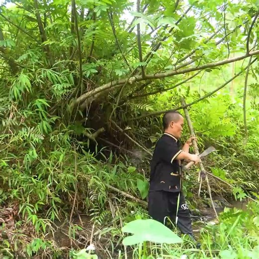 Dwarf Family on Reels