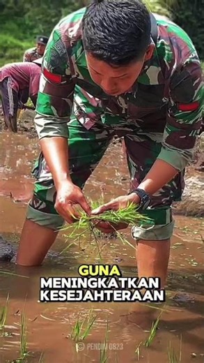 #tni #tniad #jalanyangjauhjanganlupapulang #satuklikuntukwujudkanimpianmu #militer