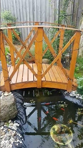 DIY Garden Bridge over the fish pond video