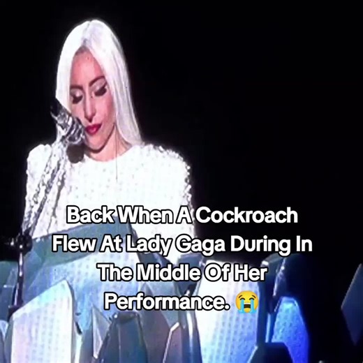 Lady Gaga's Reaction to a Flying Cockroach During Performance
