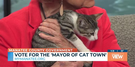 Manatee County Animal Welfare promotes cat adoption on National Cat Day