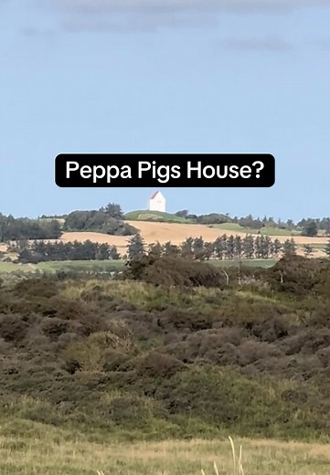 Satisfying Peppa Pigs House In Real Life 🏠 #peppa #peppapig #peppapigshouse #housesatisfying #oddlysatisfying #fyp