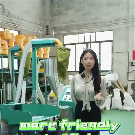 Low-Temperature Plastic Granulator Machine | Energy-Saving Recycling for HDPE, LDPE, PP, PVC & PET