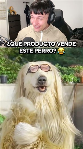 WHAT PRODUCT IS THIS DOG SELLING? 😂