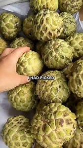 I Didn’t Understand Why People Eat Dragon Eggs #ExoticFruits #TropicalFruits #FruitReview | Tasty Tables