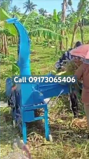 Silage chopper actual demo today #trending #automobile #machinerychannel #amazingmachinery #poultry