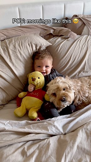 Luna The Mini Cockapoo on Instagram: "An unbreakable bond 🥺❤️ #dogs #puppylove #minicockapoo"