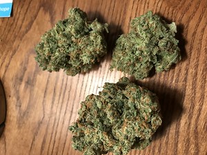 Chocolope Kush | Marijuana Strain Reviews