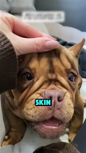 She LOOKS Mean… But WAIT 😱✨