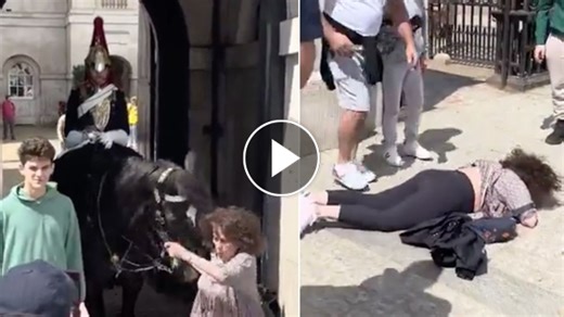 Londra, turista colpita da un cavallo della Guardia Reale: il video | LA7