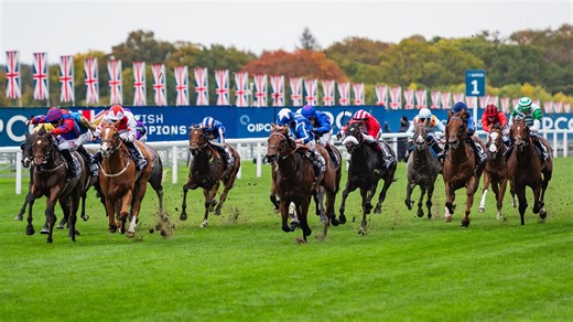 Trackside Live: Horses to Follow