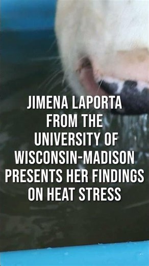 Beyond Summer Heat Stress