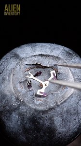 373K views · 6.1K reactions | top macro compilation #asmr #asmrsounds #macroart #macro #macrophotography #makrofotografia #closeup #closeupphotògraphy #raw_macro #kings_macro #macro_highlight #macro_royals #macroworld_tr #macro_vision #macro_captures #macro_holic #microworld | Alien Inventory | Facebook