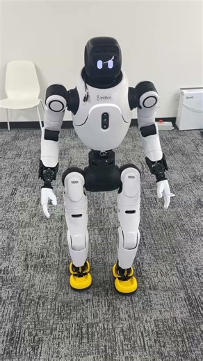 AGIBOT x IntBot: 5,000 Units Landed – Tech Synergy Turns Innovation into Reality