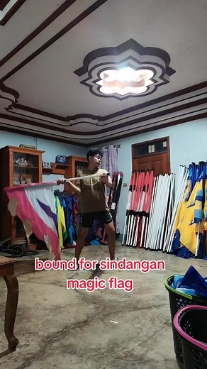 #colorguard #fyp #swingflag #flags #drumandlyre2025