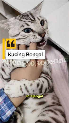 cek deskripsi yaa, maaf kemarin sudah diupload ternyata bermasalah lagunya