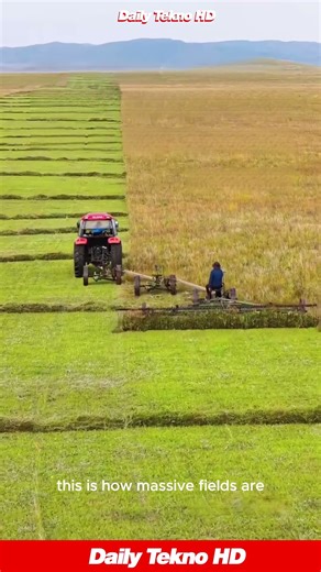 This Tractor is a Perfectionist s Dream 😍 Look at Those Lines! #FarmingLife