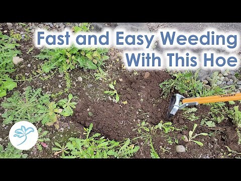 Weeding Made Quick and Easy with This Tool - The Action Hoe