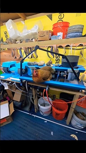 Crown Lapidary Cabbing Machine.