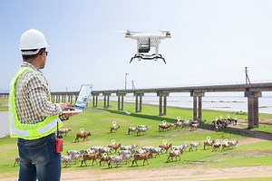 Monitoring and Moving Livestock On The Farm Using Drones