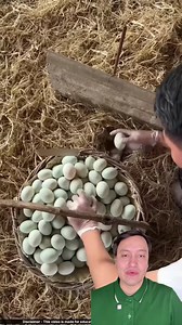 asi son las granjas de patos #reelsfacebook #reelsfypシ #viralpost | Andrés Alzate