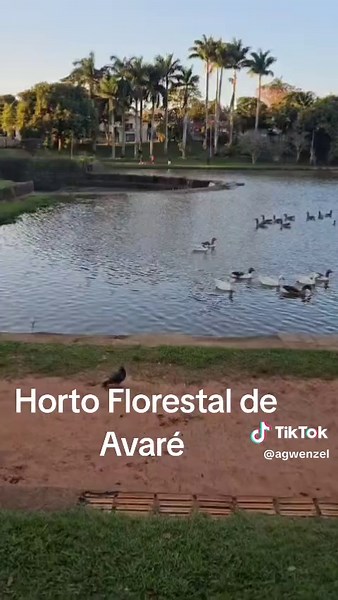 Descubra o Horto Florestal de Avaré