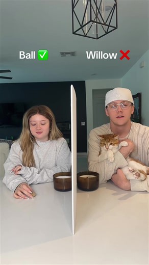 Willow's Ball Challenge: A Feline Adventure