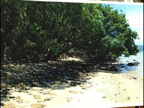 Prime Beachfront Land for Sale on Koh Lon, Phuket