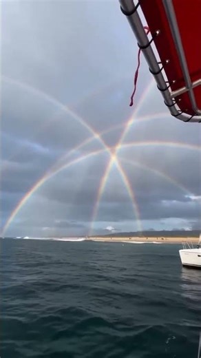 A rare "reflection rainbow" creating four intersecting arcs