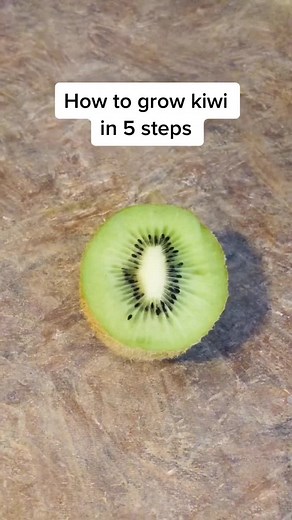 growithjessie on TikTok