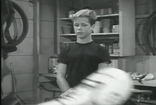 Leave It to Beaver - Leave It To Beaver: Season 1
